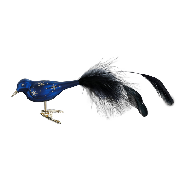 Midnight Bird / SALE Save 25%