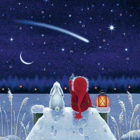 Tomte with Shooting Star Advent Calendar / Eva Melhuish