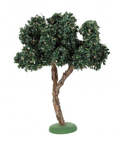 Olive Tree / Olivier -  3.75"