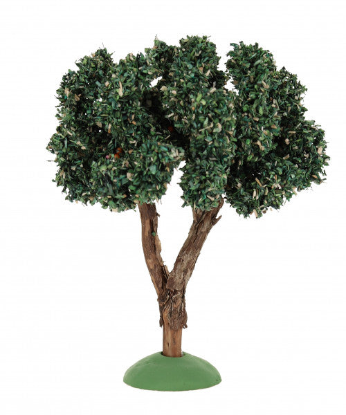 Olive Tree / Olivier -  5-1/2"