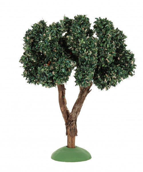 Olive Tree / Olivier -  4.75"