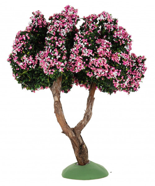 Almond Tree / Amandier -  6"