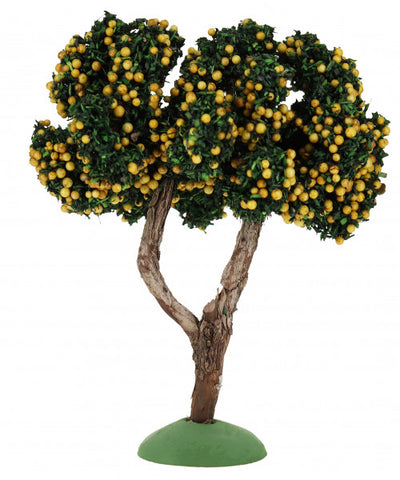 Lemon Tree / Citronnier -  5-3/4"