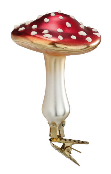 Flat Top Mushroom - Glückspilz - Lucky Mushroom