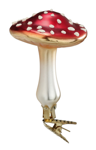 Flat Top Mushroom - Glückspilz - Lucky Mushroom