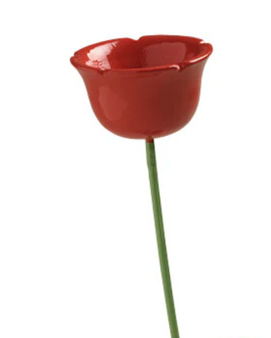 Poppy for Boy with a Poppy