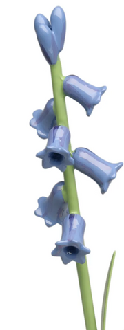 Wild Hyacinth for Girl with Wild Hyacinth