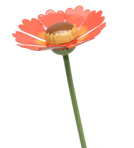 Helenium Flower for Boy with Helenium