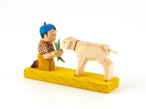 Boy Feeding a Sheep