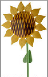 Sunflower for Girl with Sunflower