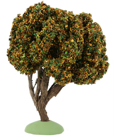 Truffle Oak (Chene Truffier)- 4-3/4 inches