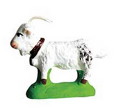 Goat  - Chèvre - Size #1 / Cricket