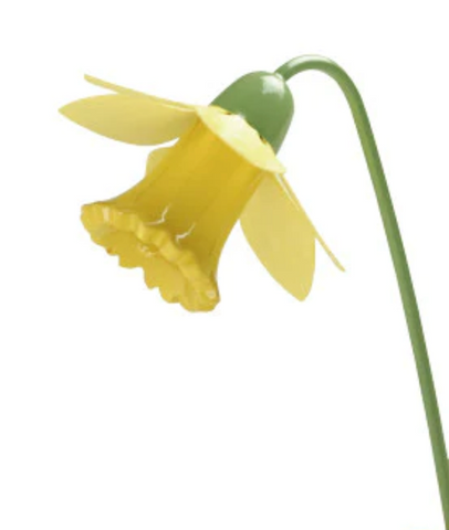 Daffodil for the Boy with a Daffodil